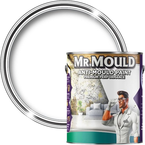 Anti damp paint - |,