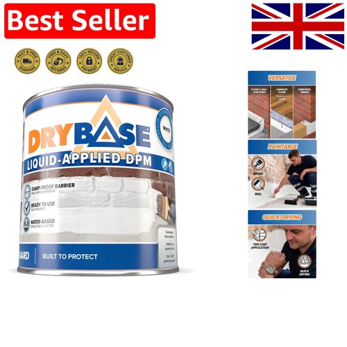 Liquid damp proof paint - damp,