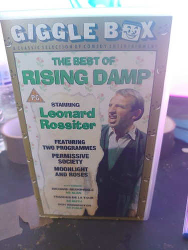 The best rising - best, damp